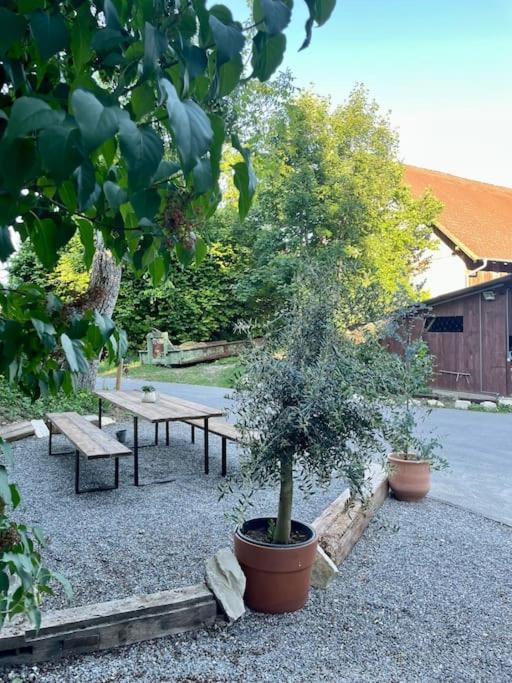 Zauberhafte Ferienscheune Im Hofgut Alte Oelmuehle Engen Εξωτερικό φωτογραφία