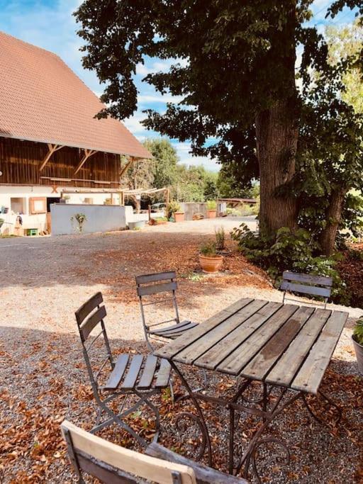 Zauberhafte Ferienscheune Im Hofgut Alte Oelmuehle Engen Εξωτερικό φωτογραφία